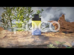 POCO BL10000 Wiederaufladbare Einweg-Vape 20ml 5% Nic 650mAh Mesh Coil Frucht Falvor