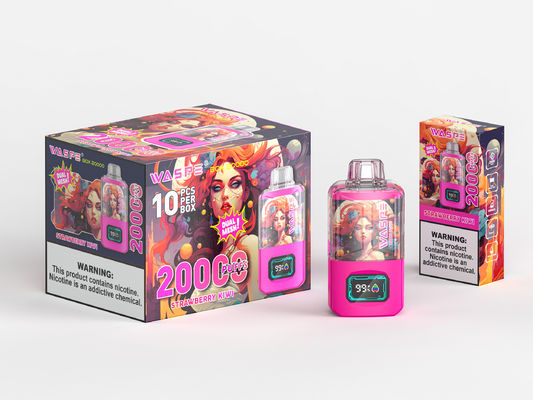 24 ml Ejuice Big Puff Vape Typ C mit 650 Mah Batterie