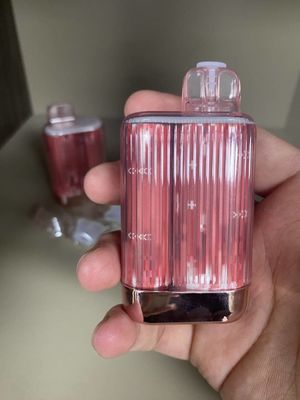 Hauche Mesh Coil Disposable Vape 950mah Soems Te5000 13.5ml 5000