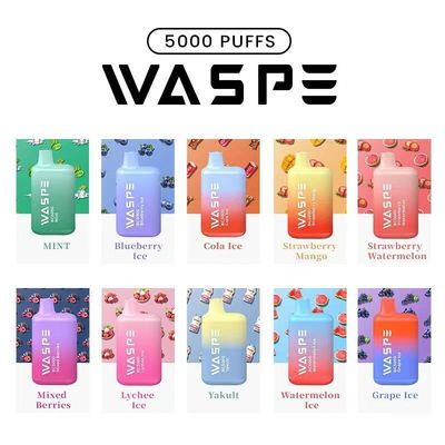 Waspe 5000Puffs E Zigaretten Einweg-Vape 13ML 2%/3%/5% Nic 650mah Wiederaufladbar