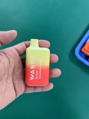 Waspe 5000Puffs E Zigaretten Einweg-Vape 13ML 2%/3%/5% Nic 650mah Wiederaufladbar
