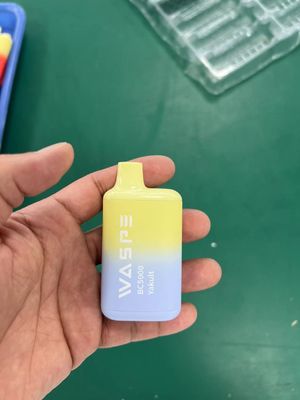 0.8ohm Widerstand Einweg-Dampf E-Zigarette Wespe 5000 Puff