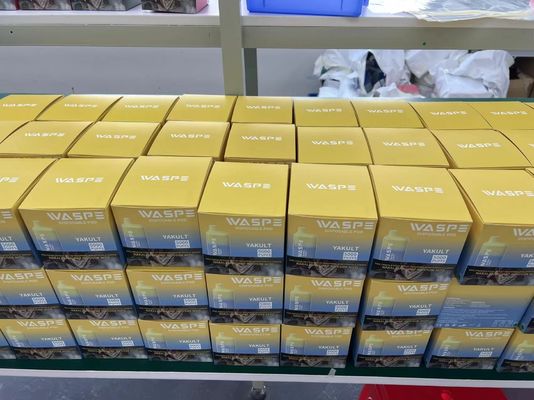 5000 Puffs Waspe Wiederaufladbar Einweg-Vape-Pen mit 13 ml vorgefülltem Saft