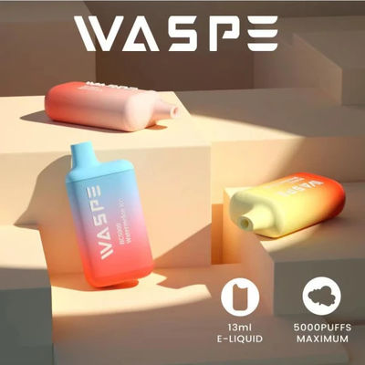 5000 Puffs Waspe Wiederaufladbar Einweg-Vape-Pen mit 13 ml vorgefülltem Saft