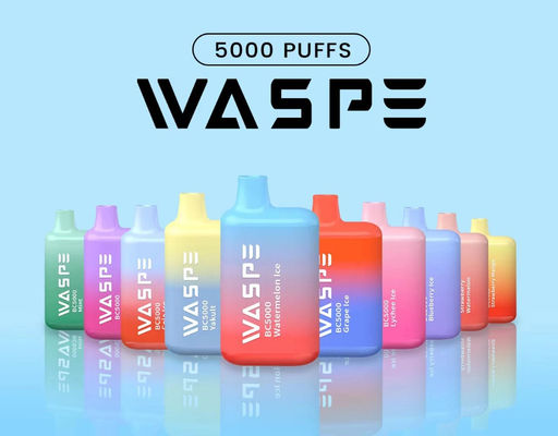 Waspe 5000 PUFFS Wiederaufladbares Einweg-Vape 13 ml vorgefüllter Saft
