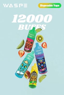 Waspe 12000Puffs in Europa beliebt mit RandM Tornado Big Puff Vape Mesh Coil