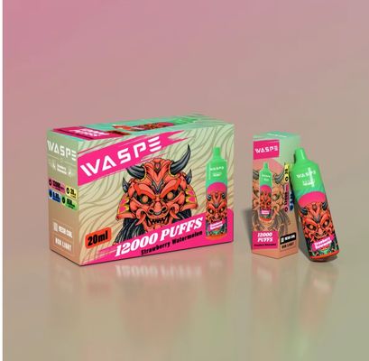 20 ml E-Liquid Einweg-Vape-Pen mit Typ-C-Micro-USB 10PCS/Displaybox