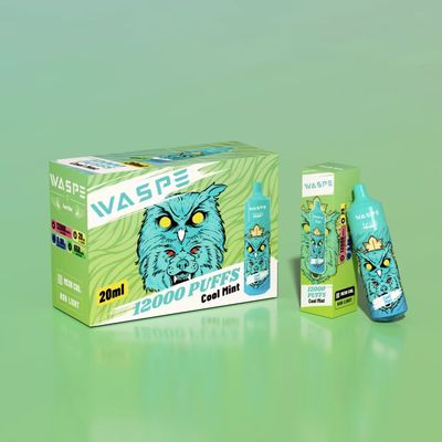 90g/Stück Groß Puff Vape mit Typ-C-Ladung 200 Stück pro Karton