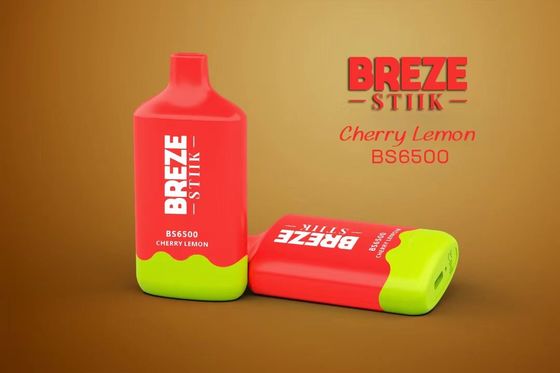 BREZE BS6500 Einweg-Vape Großer Puff 15ml Vorgefüllter Ejuice 500mAh Batterie