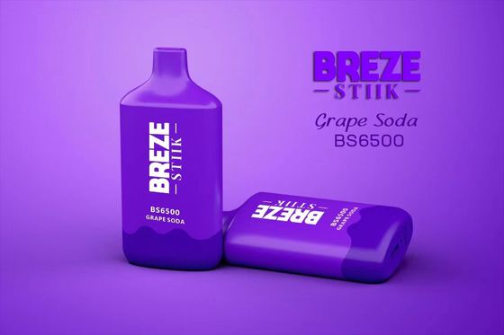 BREZE BS6500 Einweg-Vape Großer Puff 15ml Vorgefüllter Ejuice 500mAh Batterie