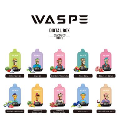 12000Puffs Einweg-E-Zigarette 20 ml E-Flüssigkeit mit E-Flüssigkeit und Batterie-Display