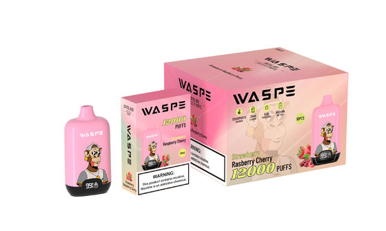 12000Puffs Einweg-Vape-Stift mit Mesh-Coil und Typ-C-Ladekabel