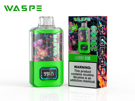 Sus304 Big Puff Vape mit 20000 Puffs 650 Mah Batterie Bildschirm