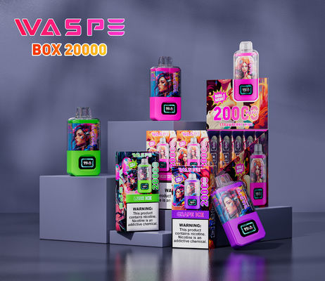 Typ C Ladeanschluss Big Puff Vape 24 ml Ejuice 12 Fruchtgeschmacksrichtungen 20000 Puffs