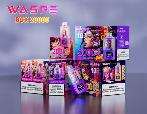 Typ C Ladeanschluss Big Puff Vape 24 ml Ejuice 12 Fruchtgeschmacksrichtungen 20000 Puffs