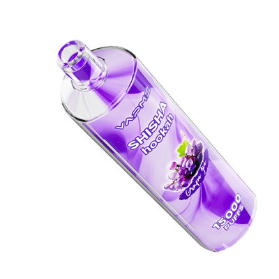 Große Kapazität 15000 Puffs Vape Pen mit 25ml Ejuice 650mAh Batterie