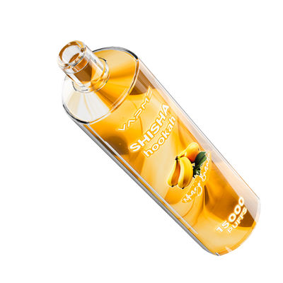 15000 Puffs Fruchtgeschmacksrichtungen Vape Typ C Ladeanschluss 25 ml Saftkapazität SUS304