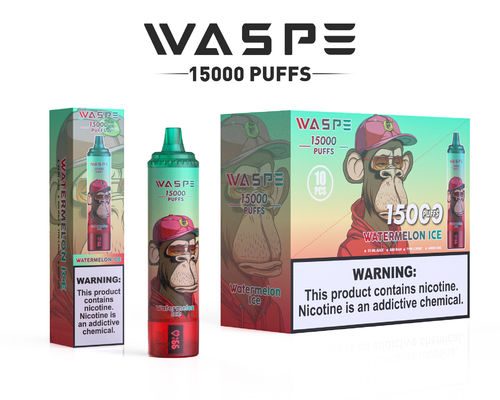 15000 Puffs Big Puff Vape mit 12 Fruchtgeschmacksrichtungen 650mAh Batterie und 22ml Saftkapazität