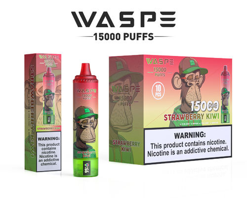 15000 Puffs Big Puff Vape mit 12 Fruchtgeschmacksrichtungen 650mAh Batterie und 22ml Saftkapazität