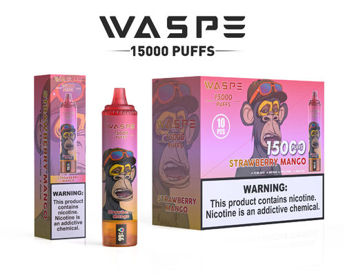 SUS304 Bildschirm Vape Starter Kit 22 ml Saftkapazität 12 Fruchtgeschmacksrichtungen