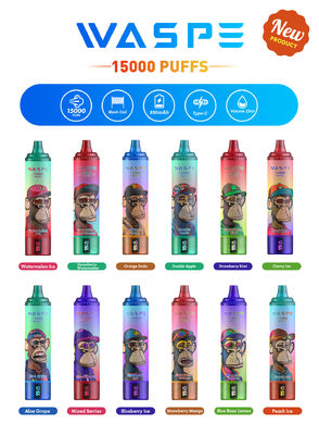 Custom 22 ml SUS304 Vape mit 12 Fruchtgeschmacksrichtungen 15000-Puff Kapazität Typ C Aufladen