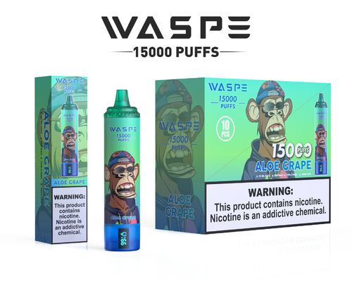 Custom 22 ml SUS304 Vape mit 12 Fruchtgeschmacksrichtungen 15000-Puff Kapazität Typ C Aufladen