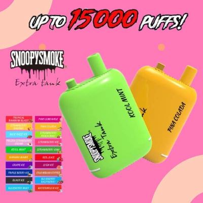 USA Vape Dual Tank 15000 Puffs 650mAh Typ C Wiederaufladbare Batterie 1,2 ohm Mesh Coil E Flüssigkeit Kit