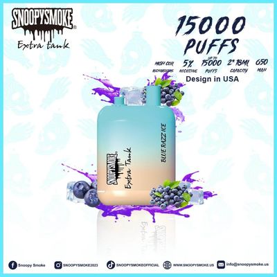 15000 Puffs Fruchtgeschmack Vape Doppel 18 ml Batterie mit 650mAh Typ C wiederaufladbare Batterie