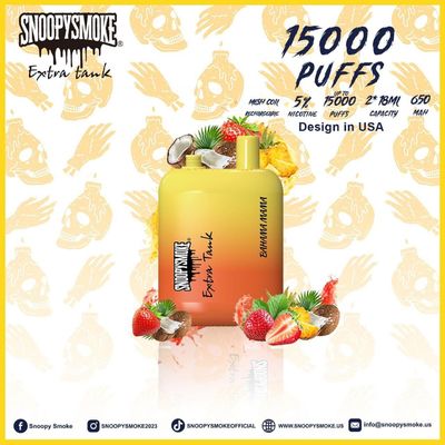 15000 Puffs Fruchtgeschmack Vape Doppel 18 ml Batterie mit 650mAh Typ C wiederaufladbare Batterie