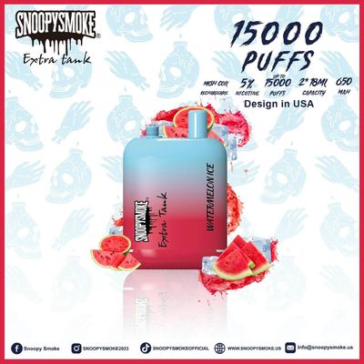 15000 Puffs Fruchtgeschmack Vape Doppel 18 ml Batterie mit 650mAh Typ C wiederaufladbare Batterie