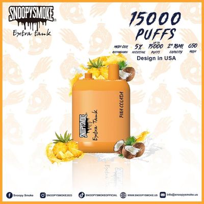 USA Vape Dual Tank 15000 Puffs 650mAh Typ C Wiederaufladbare Batterie 1,2 ohm Mesh Coil E Flüssigkeit Kit