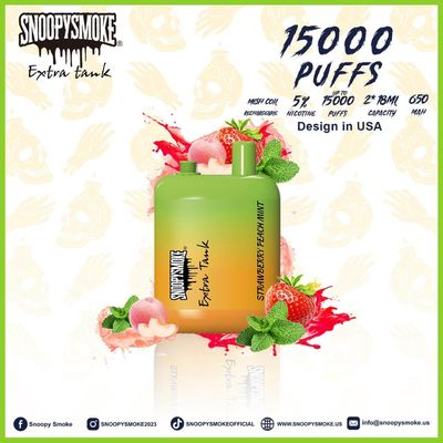 Double18mL vorgefüllte E Flüssigkeit 5% Nikotin-Stätigkeit Vape Kit mit 650mAh Typ C wiederaufladbare Batterie