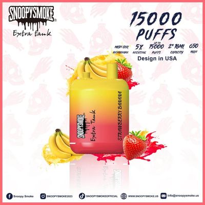 Double18mL vorgefüllte E Flüssigkeit 5% Nikotin-Stätigkeit Vape Kit mit 650mAh Typ C wiederaufladbare Batterie