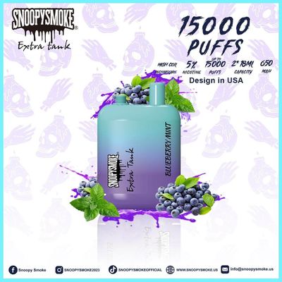 Zweifachbehälter Typ C Wiederaufladbare Batterie mit 15000 Puffs Fruchtgeschmack 1,2 Ohm Mesh Coil