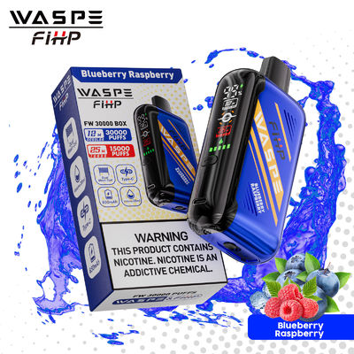 30000 Puffs Mesh Coil Einweg-Vape mit 28 ml E Flüssigkeit und verstellbarem Luftstrom