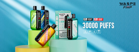 Typ-C-Ladung 1ohm Dual Mesh Coil Vape mit lang anhaltender Leistung und 15000 Puffs