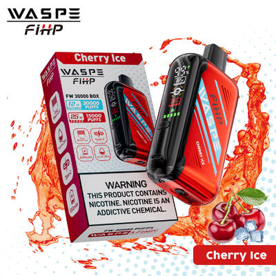 Typ-C-Ladung 1ohm Dual Mesh Coil Vape mit lang anhaltender Leistung und 15000 Puffs