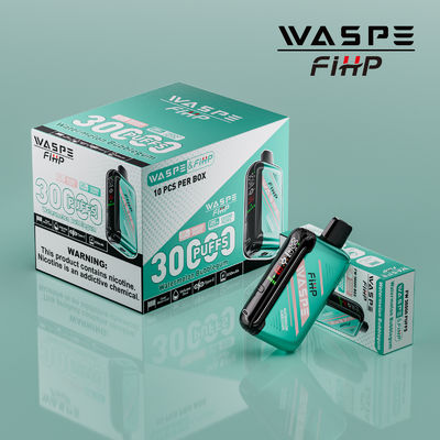 Typ-C-Ladung 1ohm Dual Mesh Coil Vape mit lang anhaltender Leistung und 15000 Puffs