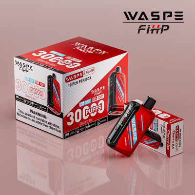 Typ-C-Ladung 1ohm Dual Mesh Coil Vape mit lang anhaltender Leistung und 15000 Puffs